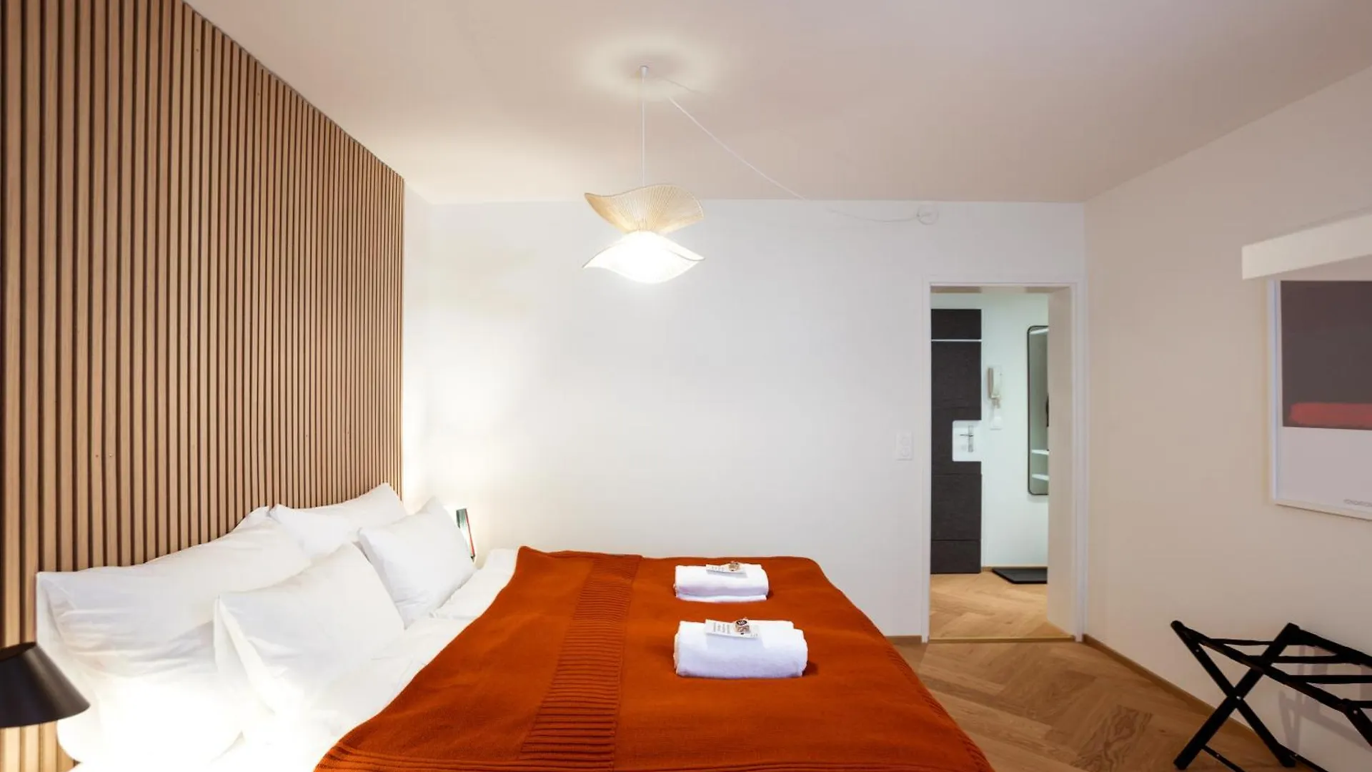 Boutique Apartment Im Trendigen Quartier Am Rhein Basel