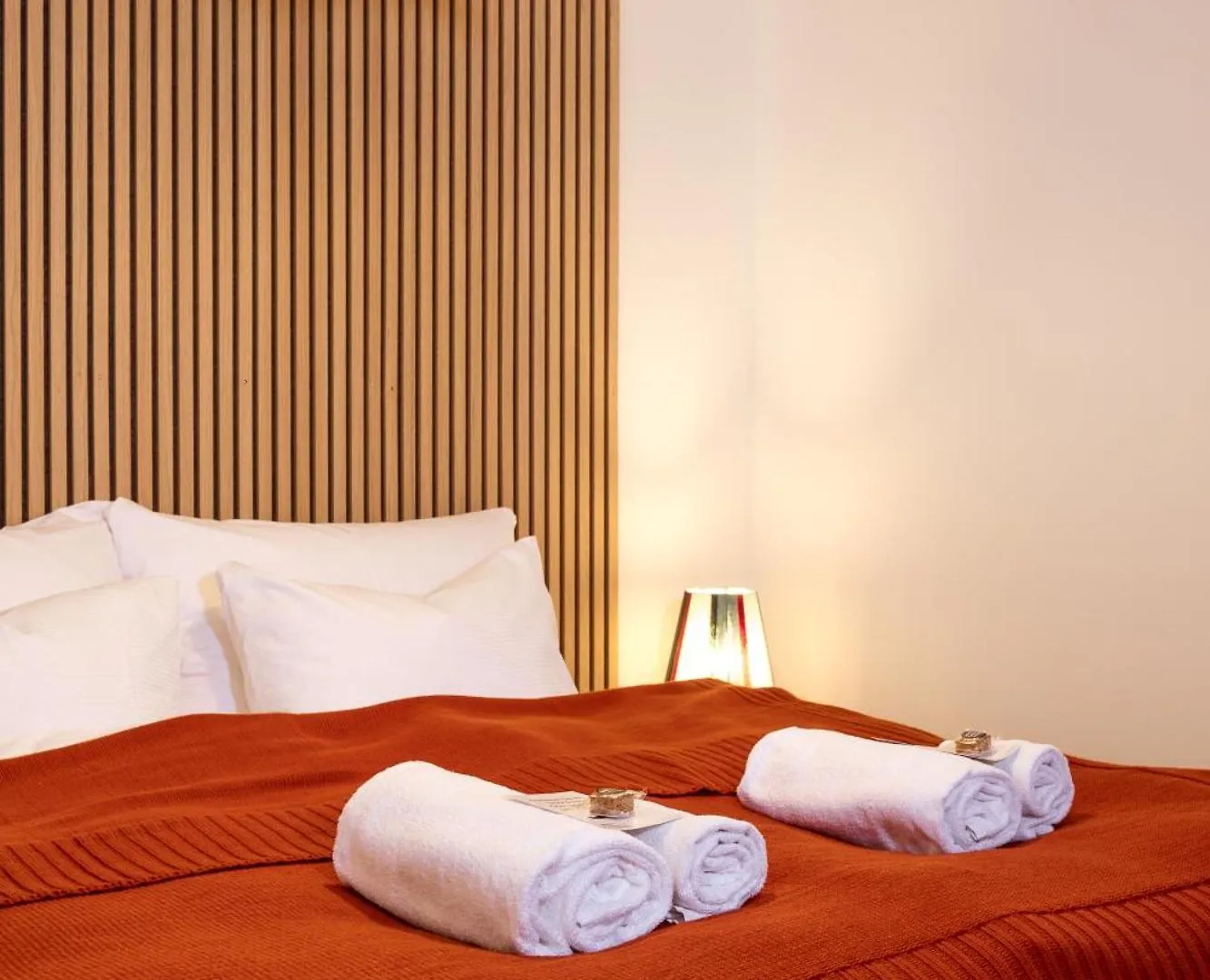 Boutique Apartment Im Trendigen Quartier Am Rhein Basel